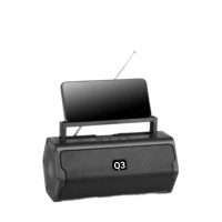 Q3 Bluetooth speaker